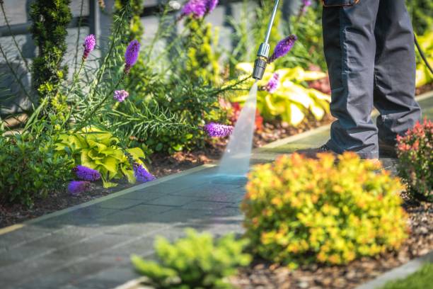 Professional Pressure Washing Services in Gibsonia, PA